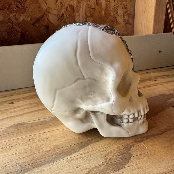 Halloween Skulls White Jeweled Plastic Set of 2 New - Picture 2 of 5